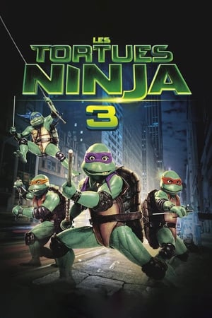 Les Tortues Ninja 3 : Retour au pays des samouraïs