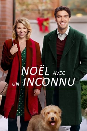 Noël avec un inconnu